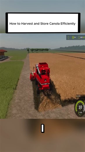 How to Harvest and Store Canola Efficiently #fs22 #fs25 #farmingsimulator25 #farmingsimulator22 #nomansland | Briceletsdélices