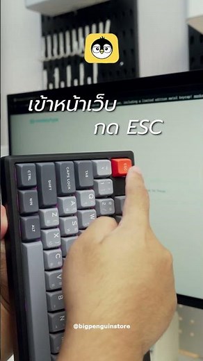 40K in Thai on Monkeytype is a real challenge, extremely difficult! #bigpenguintherealkeyboardexp...