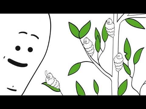 Operation mealybug - Cryptobug-L