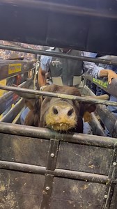 Alan De Souza snuck up the leaderboard to finish fifth in the world standings last season. All eyes are on him as he kicks off a new race for the gold buckle in Tucson, AZ, next week! | PBR
