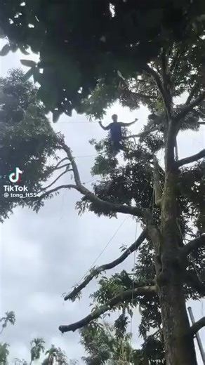 😆😆😂🤣#ฟีดดดシ #ลูกชาวสวน #จันทบุรีบ้านฉัน #บ้านฉันสนุกเว่อร์