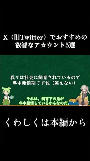 X（旧Twitter）でおすすめの叡智なアカウント5選#ゆっくり解説 #叡智 #twitter