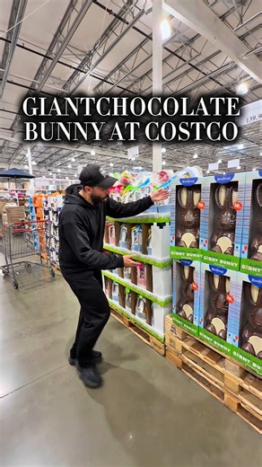 Costco has a GIANT 10lb chocolate bunny and it’s honestly the ultimate Easter flex. This is perfect for family gatherings, Easter baskets, or breaking into pieces for a dessert table. Grab this bunny before it sells out. #costcofinds #costcowonders #costcoinfluencer #easter #chocolate | Costco Wonders