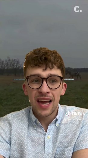 Here is some context to the recent Ohio zebra attack. #fyp #foryou #foryoupage #wildanimals #zebra #zebras #bodycamfootage #ohio #news #ohionews