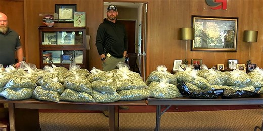 Nearly 100 pounds of marijuana taken off streets in Gadsden with help from community