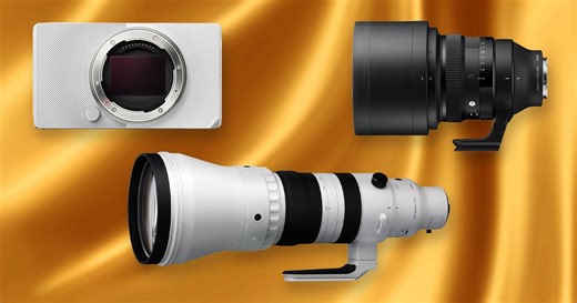 Sigma in 2025: The Best Performance of Any Photo Company This Year