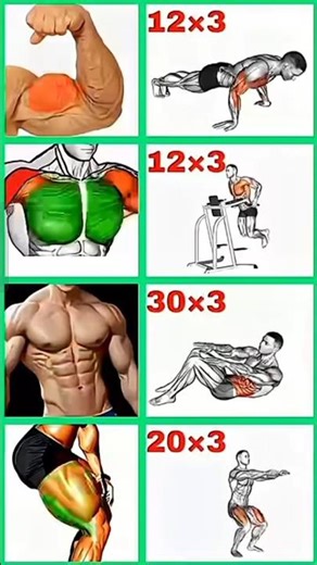Full Body Home Workout | 5 Best Bodyweight Exercises 💪#homewarkout #fitness #mobilelegendsusicalbuil