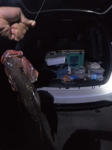 Night Fishing for Red Snapper: Tips and Techniques