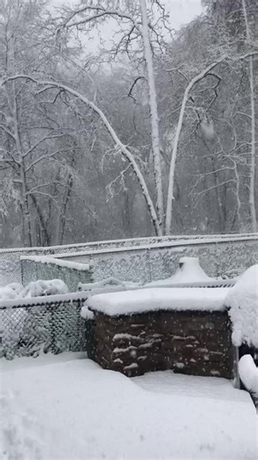 Unbelievable Ending of a Snowstorm Video!