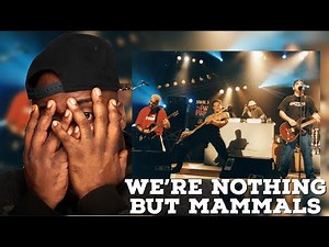 First Time Hearing | Bloodhound Gang - The Bad Touch Reaction