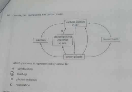 The diagram represents the carbon cycle.Which process is repr... | Filo