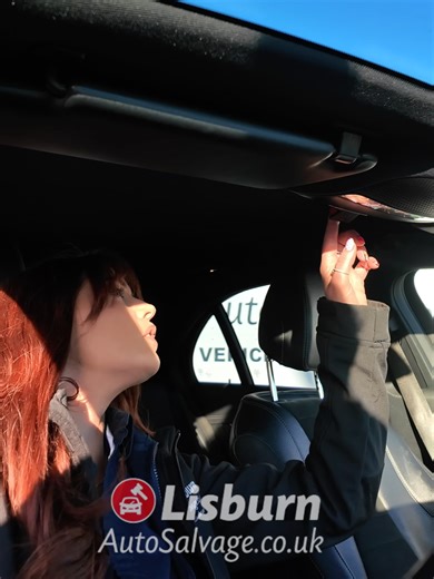 Auto Salvage Adventures: Exploring Lisburn's Auctions