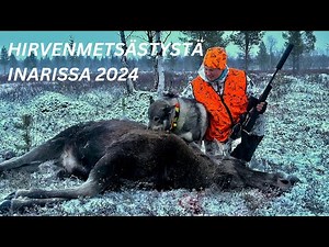 ENSIMMÄINEN KAATONI || HIRVENMETSÄSTYS LAPISSA