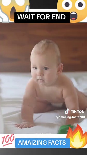 WAIT FOR END 😱 😮 #WAITFOREND #AMAIZINGFACTS #FACTS #DONTSEARCHGOOGEL #REALLIFECYCLOPS #PILLOWSUNDERAMICROSCOPE #RECTALPROLABSE #CALCULUSBRIDGETEETH