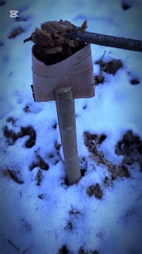 How to make a fire in the forest #survival #campfire #bushcraft #campping #outdoors #shorts #foryou