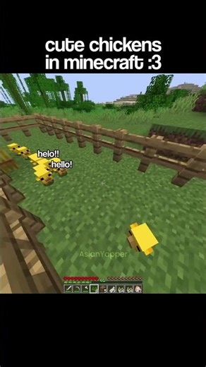 Minecraft Cute Baby Chickens Moment