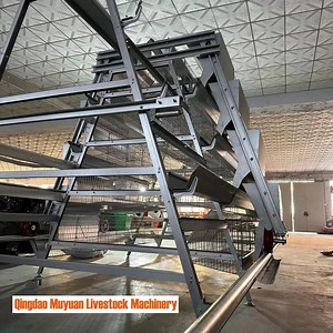 [Hot Item] a Type Layer Cage System with Egg Conveyer Belts for Chicken Farm Feeding