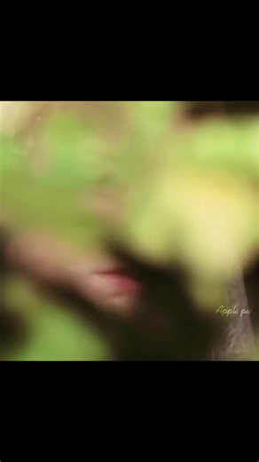 Natalie Dormer: The Versatile Actress in Focus