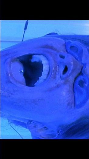 🌪 "Beauty Turns Deadly!"– The Tanning Bed Horror | Final Destination 3 💀🔥