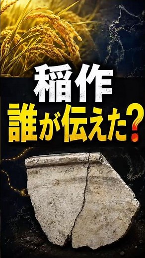 The history of Japanese rice cultivation is being shaken #YayoiPeriod #RiceCultivation #AncientJa...