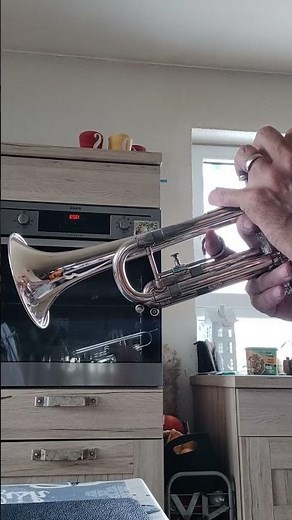 concerto de Aranjuez #music #trumpet #trumpetplayer