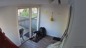 To license this content please click here: https://www.jukinmedia.com/licensing/view/1216068?utm_source=RMsocialpost&utm_medium=RMsocialpost | Jukin Copyright Management | Facebook