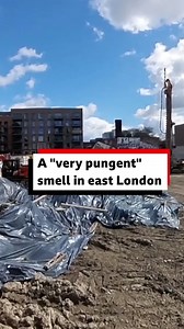 6.6K views · 37 reactions | What's causing the 'Hackney stink'?...