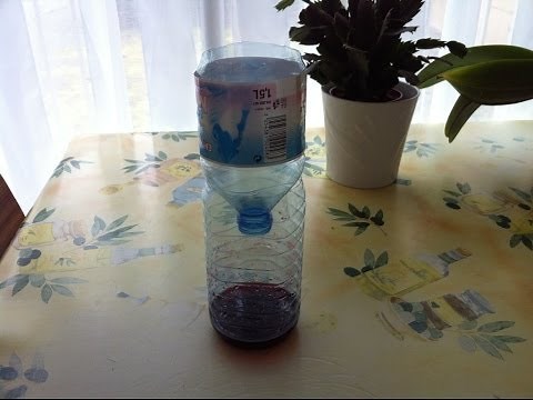 Piège à fourmis - Astuce de grand mère - Tutoriel