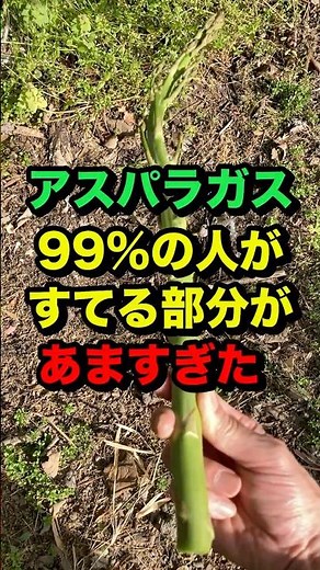 The part of the asparagus that you usually discard at the base is the sweetest. #homegardening #g...