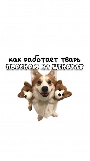 Как работает тварь: щенки и семейные драмы