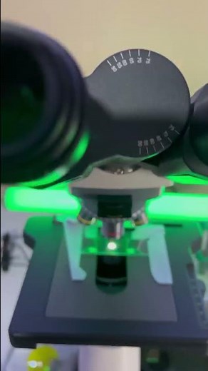 Slime mold under the microscope