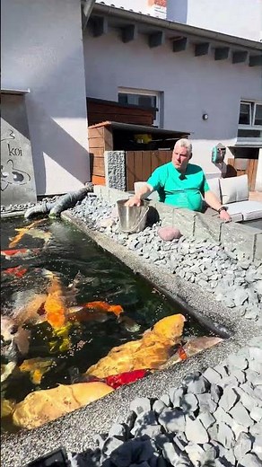Andreas und seine Jumbo Koi 😍🫪