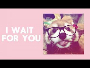 Alex G playlist!!!
