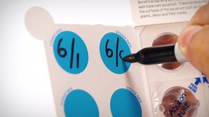 Aqueon PURE Bacteria Supplement, 24 Pack, 10 Gallon