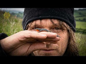 The Wild Heart of Germany | FULL DOCUMENTARY | Wild Germany: Exploring No Man’s Land