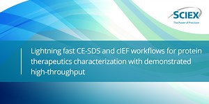 Lightning fast CE-SDS and cIEF workflows for protein therapeutics characterization with demonstrated high-throughput