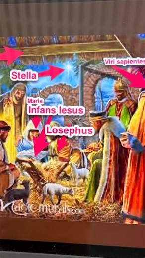 Our Year 6 Latinists have been creating Latin labels for the Nativity scene, focusing carefully on adjectival agreement at the same time as absorbing the festive spirit! #richardpateschool #SpecialistTeaching #cheltenhamprepschools #ks2latin #academicprovision #latin #latinisliving | The Richard Pate School