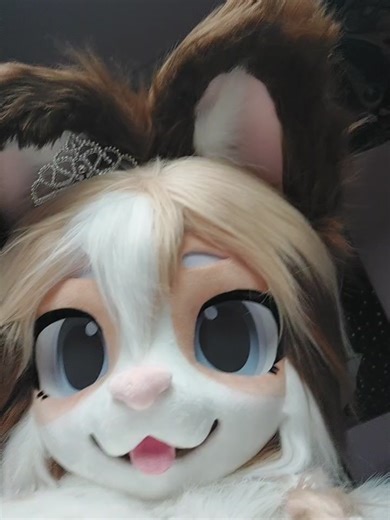 I cant believe how fast this account is growing and im forever grateful! 💕🌸 #goal #trending #furrytiktok #🎉 #puppy