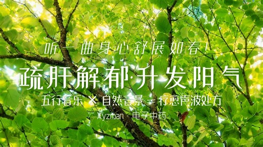 春季五行养肝乐 | 30 分钟沉浸式聆疏肝解郁 | 升发阳气·柔肝养血·平衡脏腑，身心舒展到想单曲循环！| 笛/琵琶/葫芦丝/二胡/古筝 | 电子中药·五音疗愈