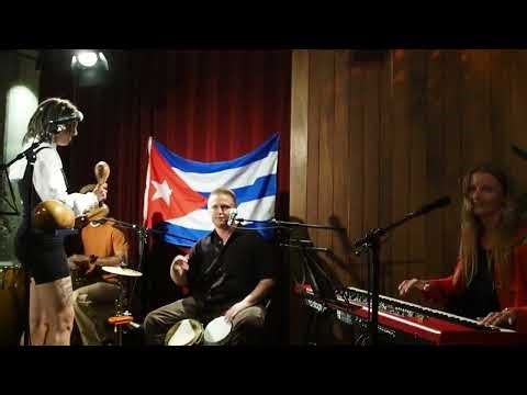 Traditional Bongó Solo in a Cuban Guaracha
