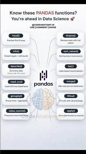 Master These Pandas Functions FAST 🚀 | Data Science Must-Know Tricks (Beginner to Pro)