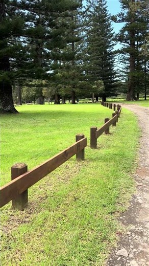 🇳🇫 Have You Heard the Stories Hidden on Norfolk Island? 🌊 #nature #travel