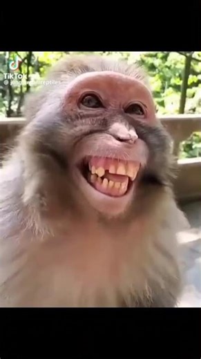 The power outage #humor #comedy #joke #iam7thousand #parade #characteroftheweek #funny