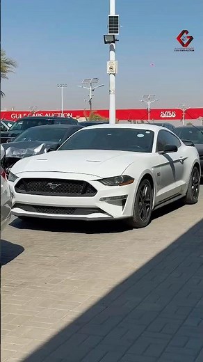 🚗 150 Cars, One Auction – SUVs, Sedans, Luxury & Sports Cars! At gulf cars auction 🔥🚘