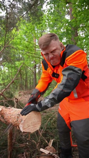 Chainsaw vs hand saw!
