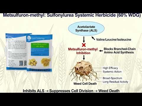 🔬 Complete Guide to Metsulfuron-methyl 60% WDG