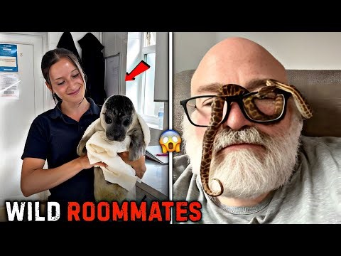 10 Most Unexpected Pets People Actually Own 😳🐾
