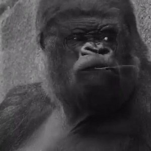 2.5K views · 62 reactions | Soylent on Reels | Facebook