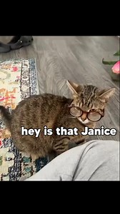 168K views · 5.2K reactions | Janice!!!! | KLR Productions | Facebook