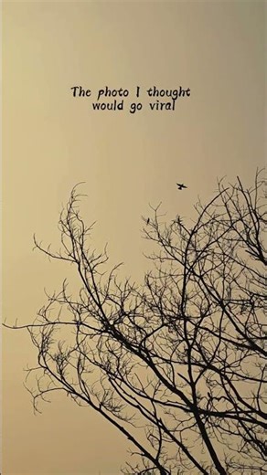 but it didn't 😟...!